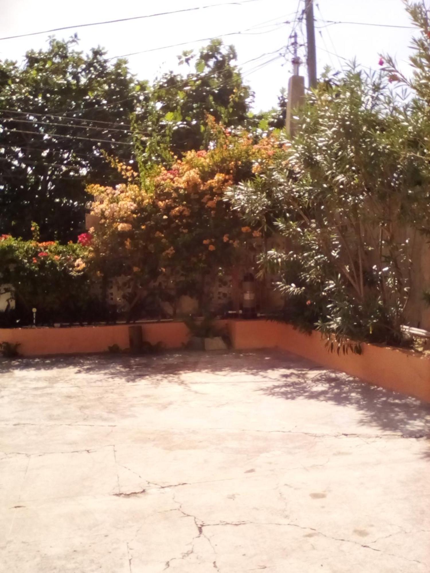 Castlevue B&B Montego Bay Zewnętrze zdjęcie